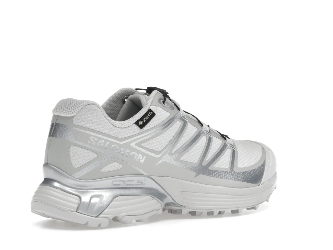 Salomon XT-Pathway GTX Lunar Rock Alloy