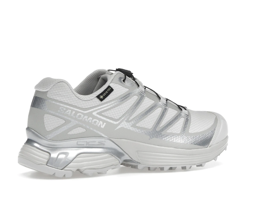 Salomon XT-Pathway GTX Lunar Rock Alloy