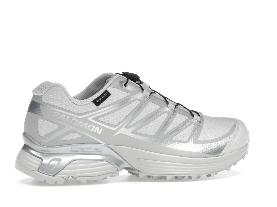 Salomon XT-Pathway GTX Lunar Rock Alloy