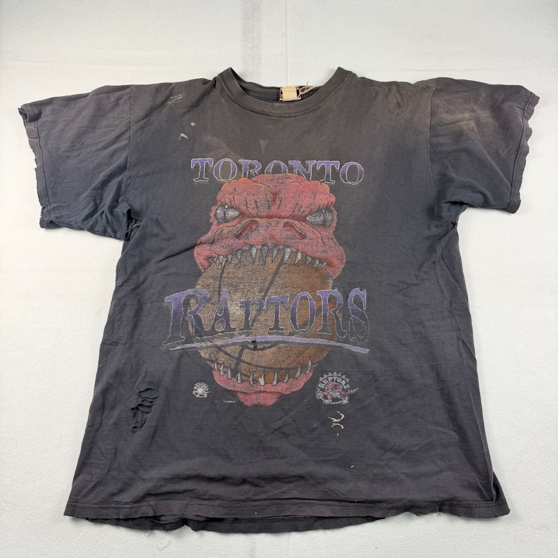 Novel Teez Designs Toronto Raptors T-Shirt