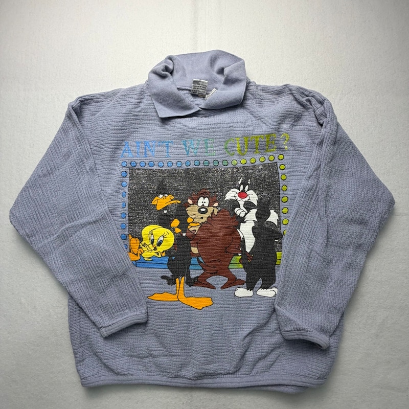 Looney Tunes Pullover Shirt Purple
