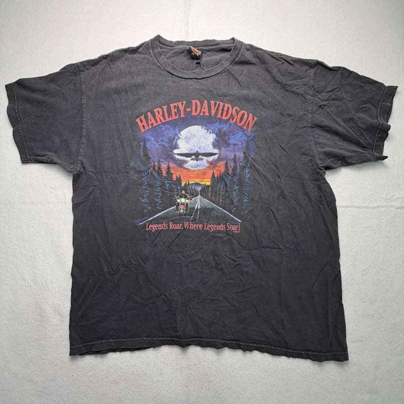 Harley-Davidson Legends Roar Where Legends Soar T-Shirt Black