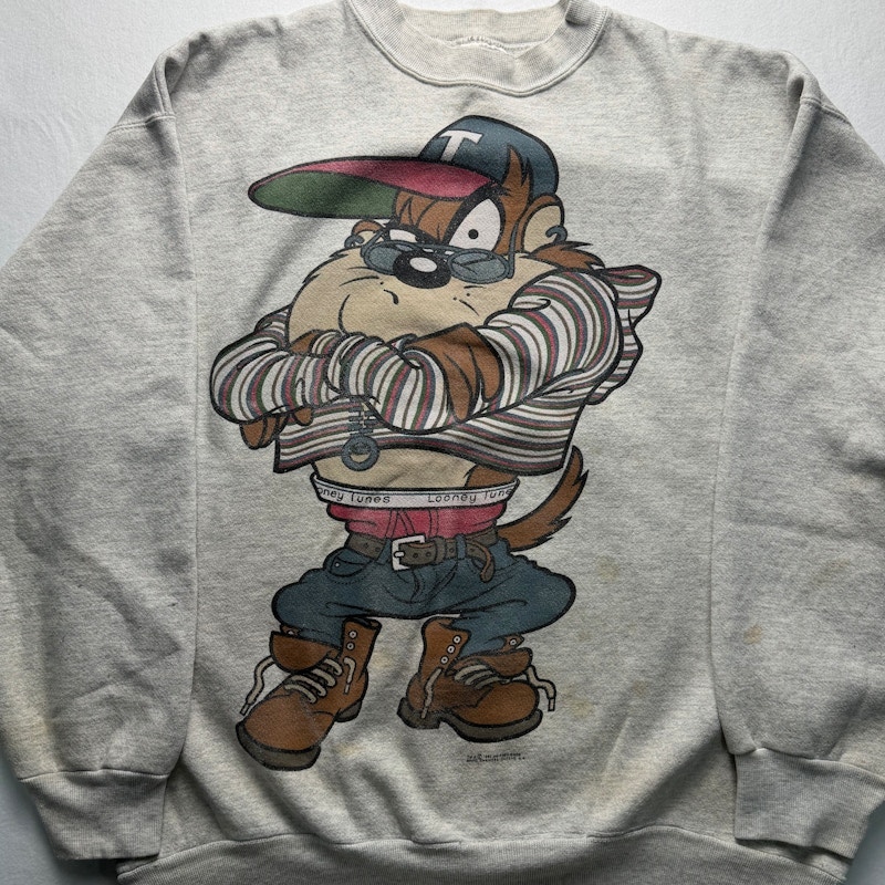 Looney Tunes Taz Sweatshirt Gray