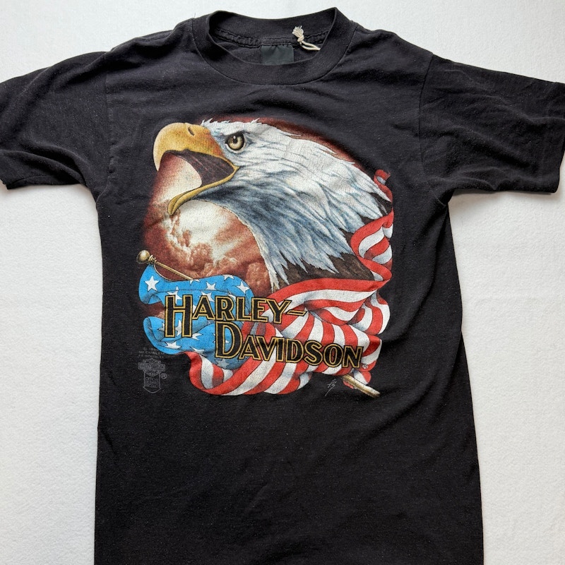 Harley-Davidson Eagle Flag Graphic T-Shirt Black