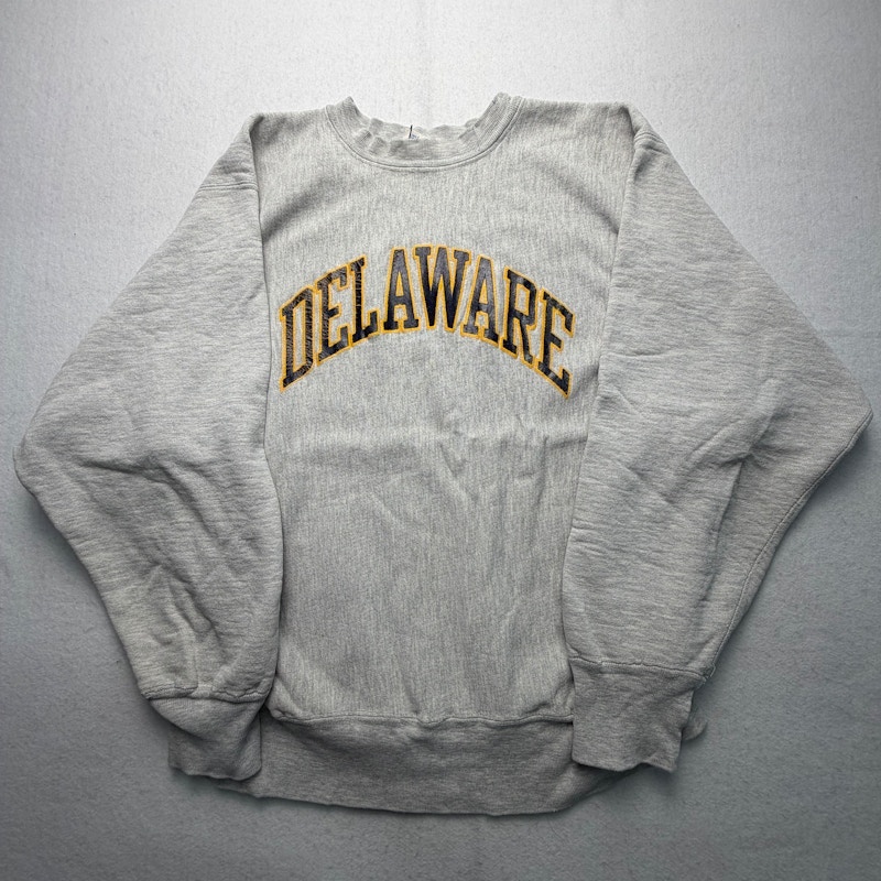 Champion Reverse Weave Delaware Sweatshirt Grey