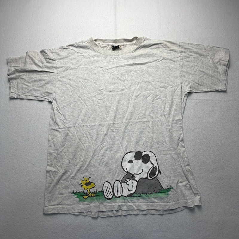 Peanuts Snoopy and Woodstock T-Shirt Heather Gray