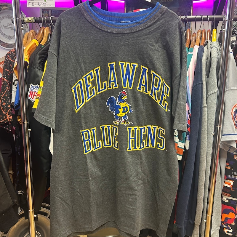 Delaware Blue Hens T-Shirt Gray