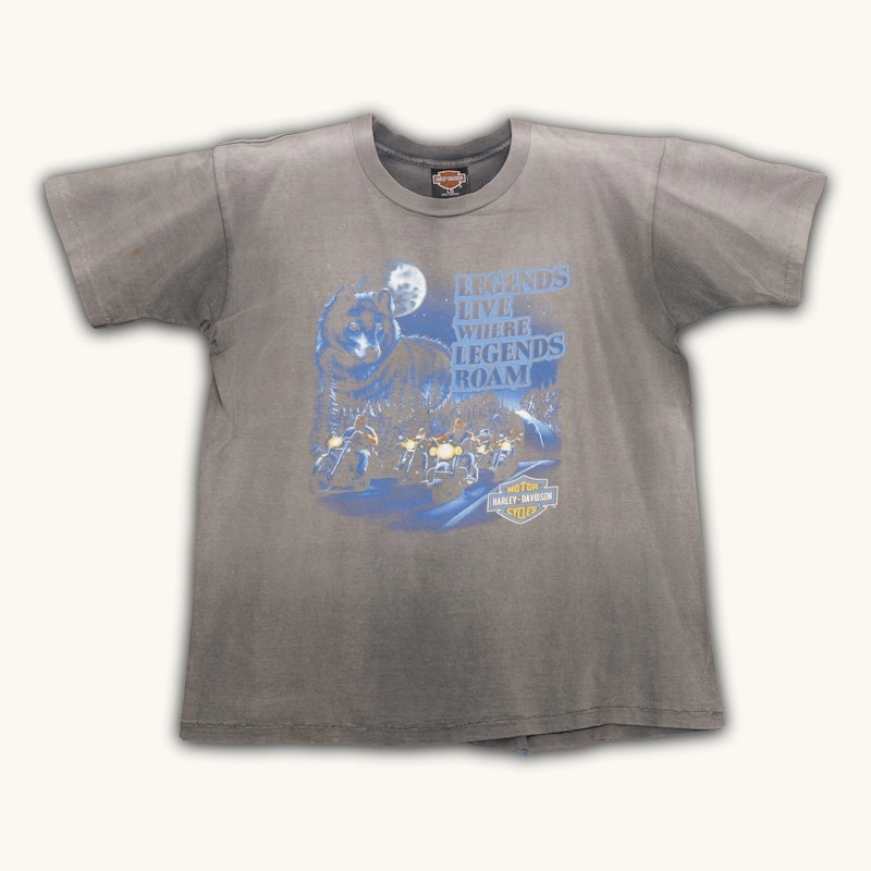 Harley-Davidson Legends Live Where Legends Roam T-Shirt Gray