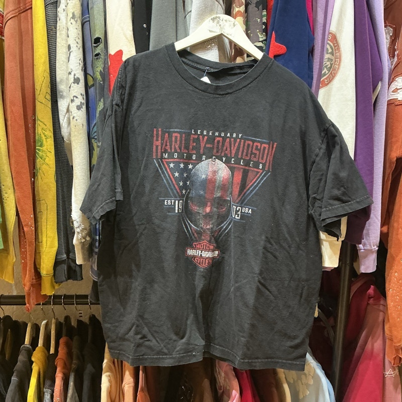 Harley-Davidson Legendary Skull Flag Graphic T-Shirt Black