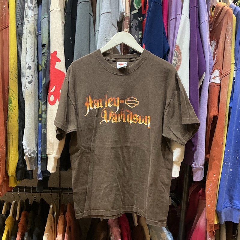 Harley-Davidson Logo T-Shirt Brown