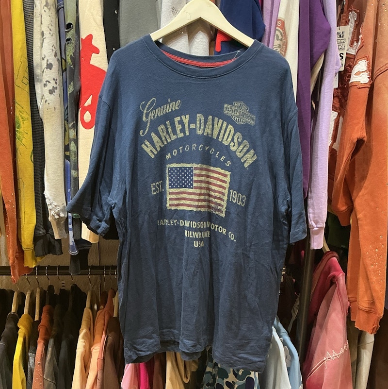 Harley-Davidson Logo Graphic T-Shirt Blue