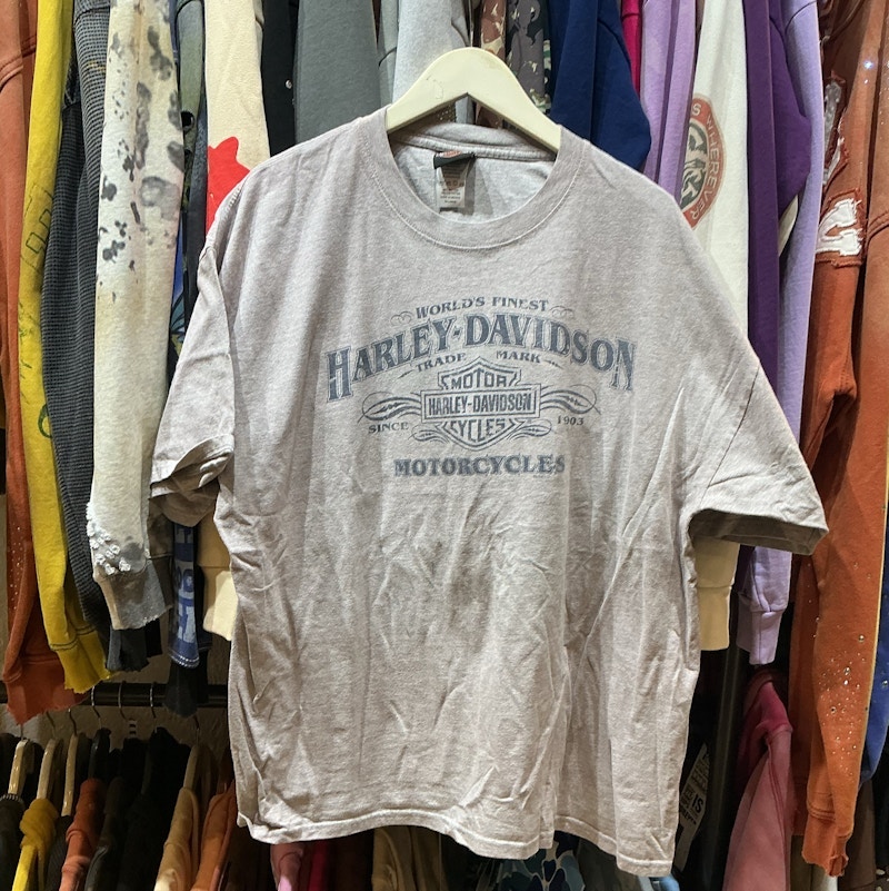 Harley-Davidson Graphic T-Shirt Gray