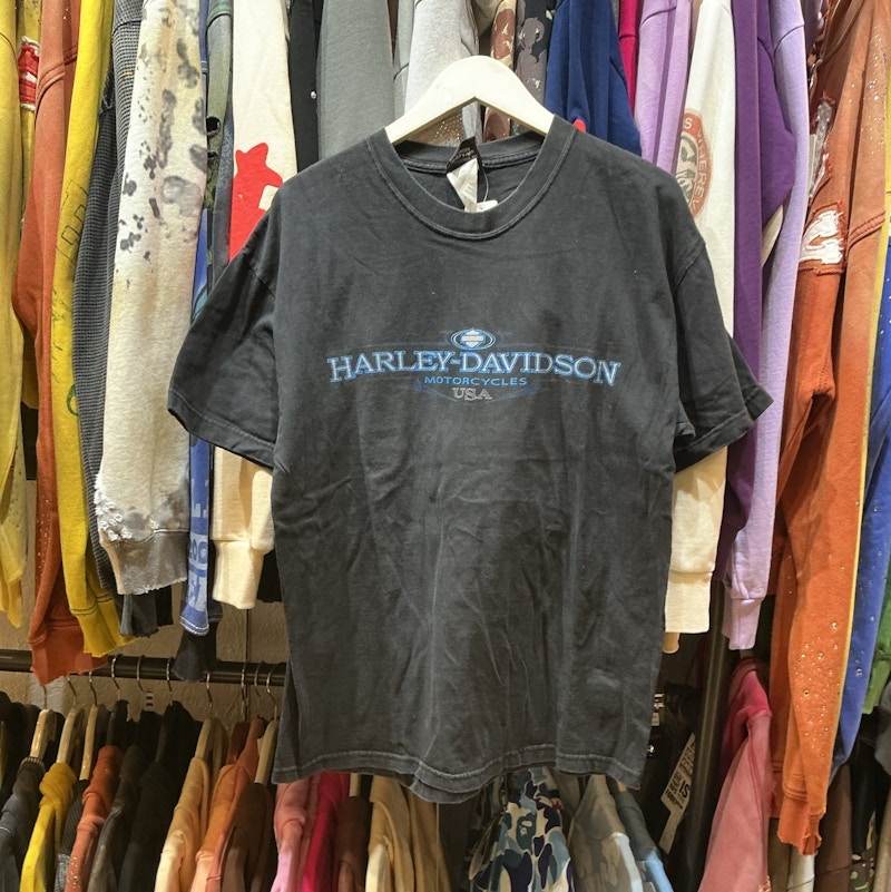 Harley-Davidson Logo Graphic T-Shirt Black Blue