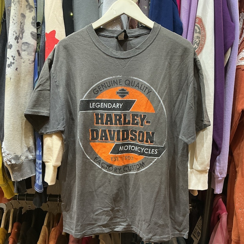 Harley-Davidson Logo Graphic T-Shirt Gray