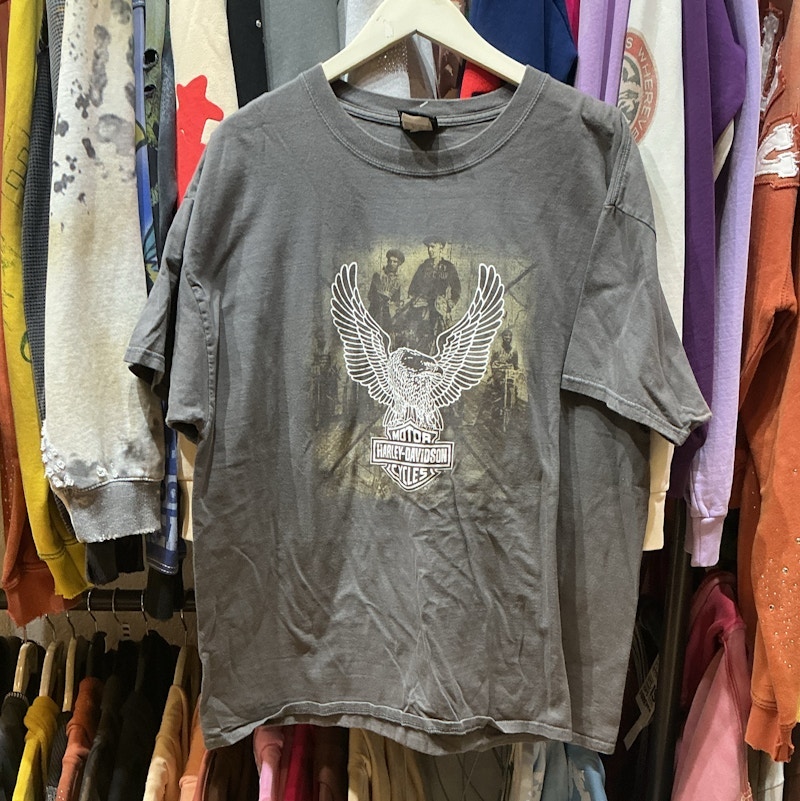 Harley-Davidson Eagle Graphic Cotton T-Shirt Gray