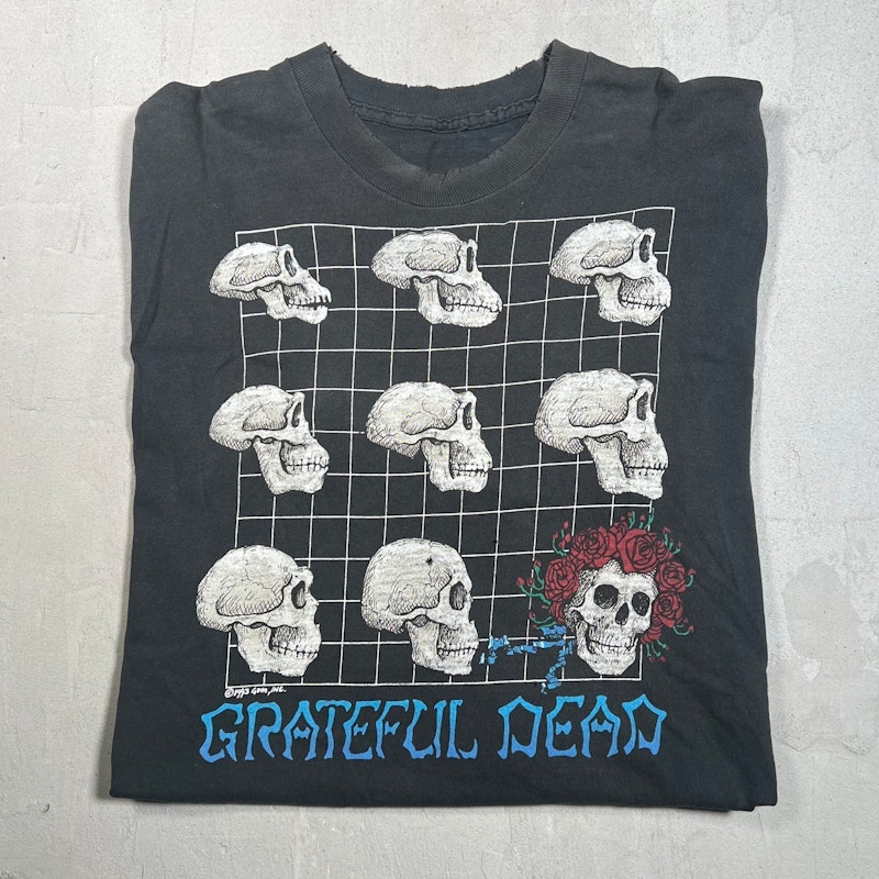 Vintage 1993 Grateful Dead Evolution T-Shirt Black