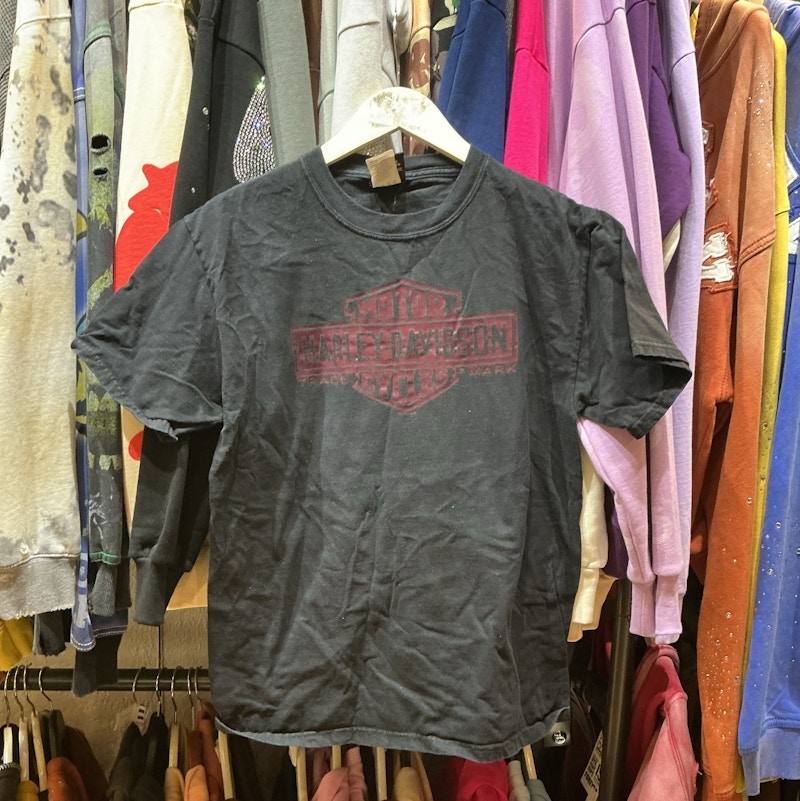 Harley-Davidson Logo Graphic T-Shirt Black Red