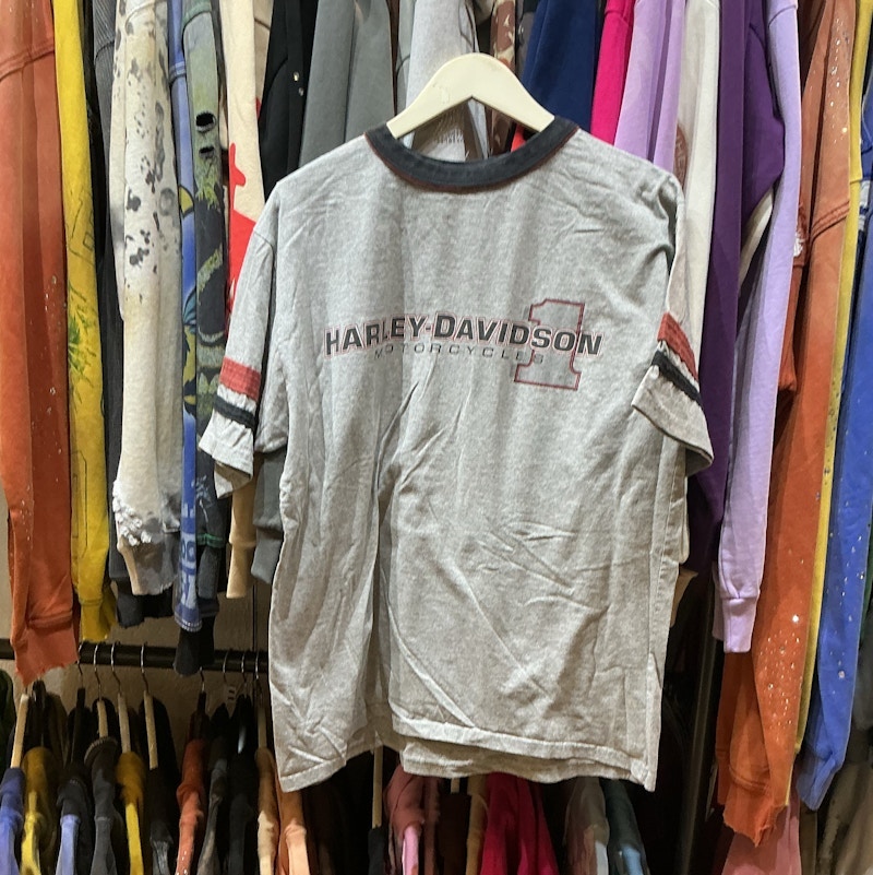 Harley-Davidson Logo Graphic T-Shirt Grey