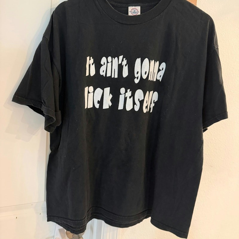 Y2K Delta Pro Weight It Ain't Gonna Lick Itself T-Shirt
