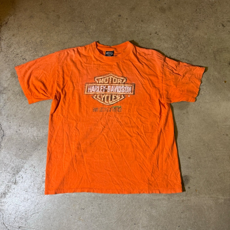 Harley-Davidson Logo Graphic T-Shirt Orange