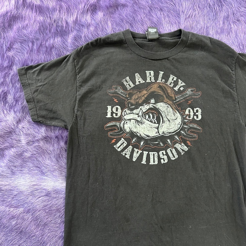 Harley-Davidson Fink's Zanesville Ohio Graphic T-Shirt Black