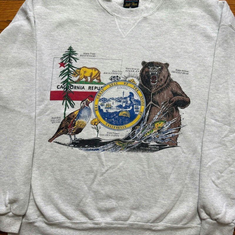 Vintage California State Sweatshirt 90s