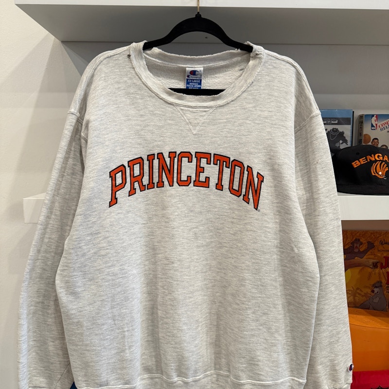 Champion Princeton University Gray Sweatshirt