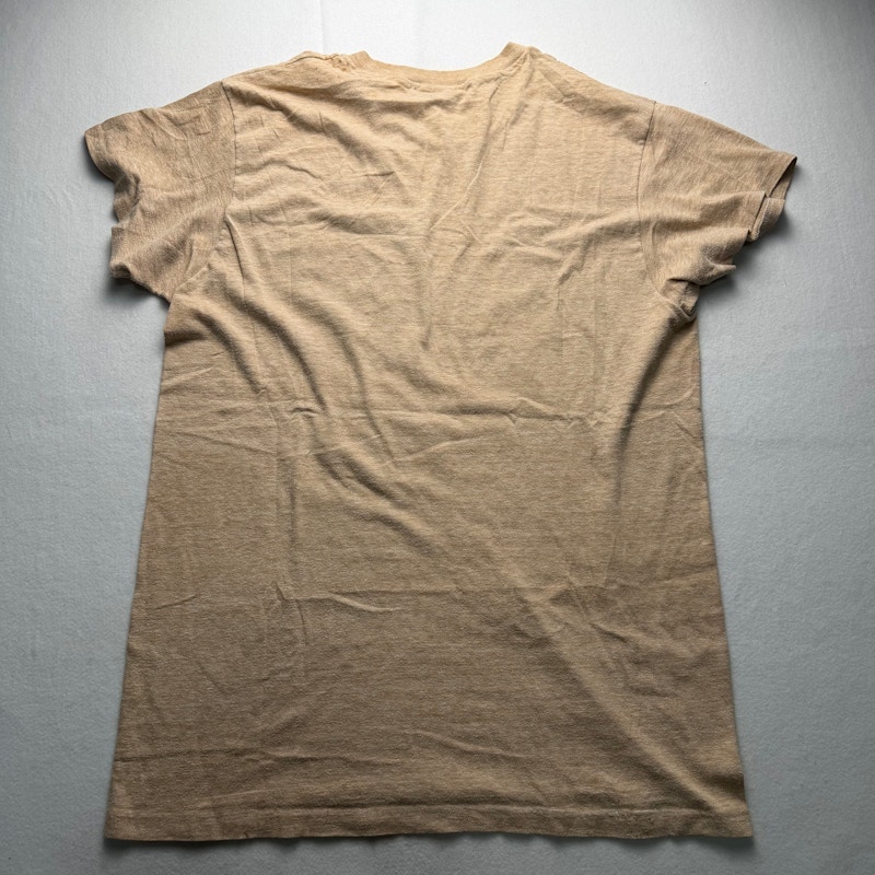 Hanes I Survived The Nantahala T-Shirt Tan