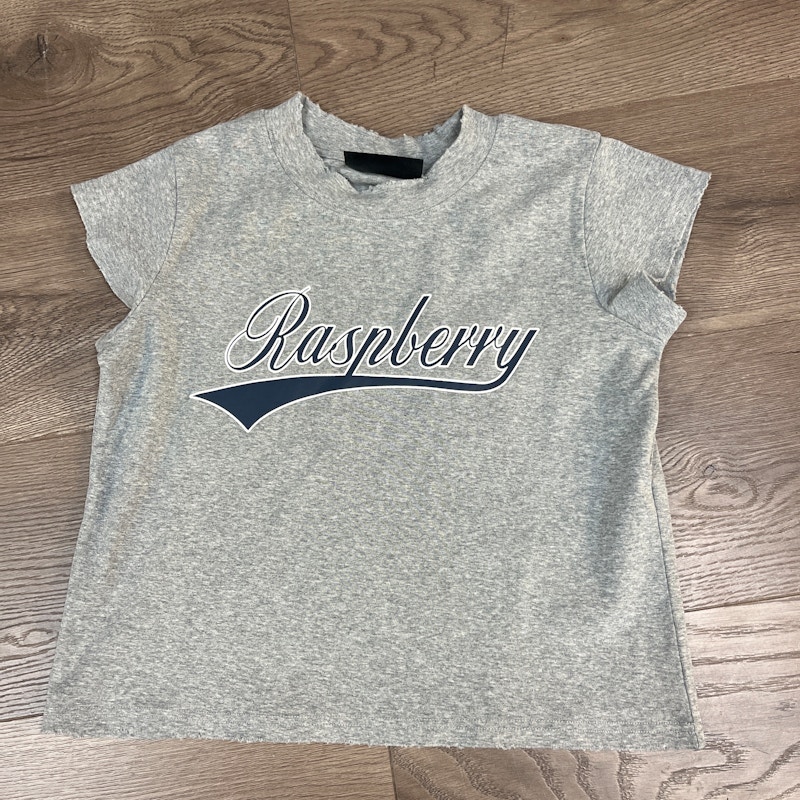 Raspberry Script Logo T-Shirt Gray