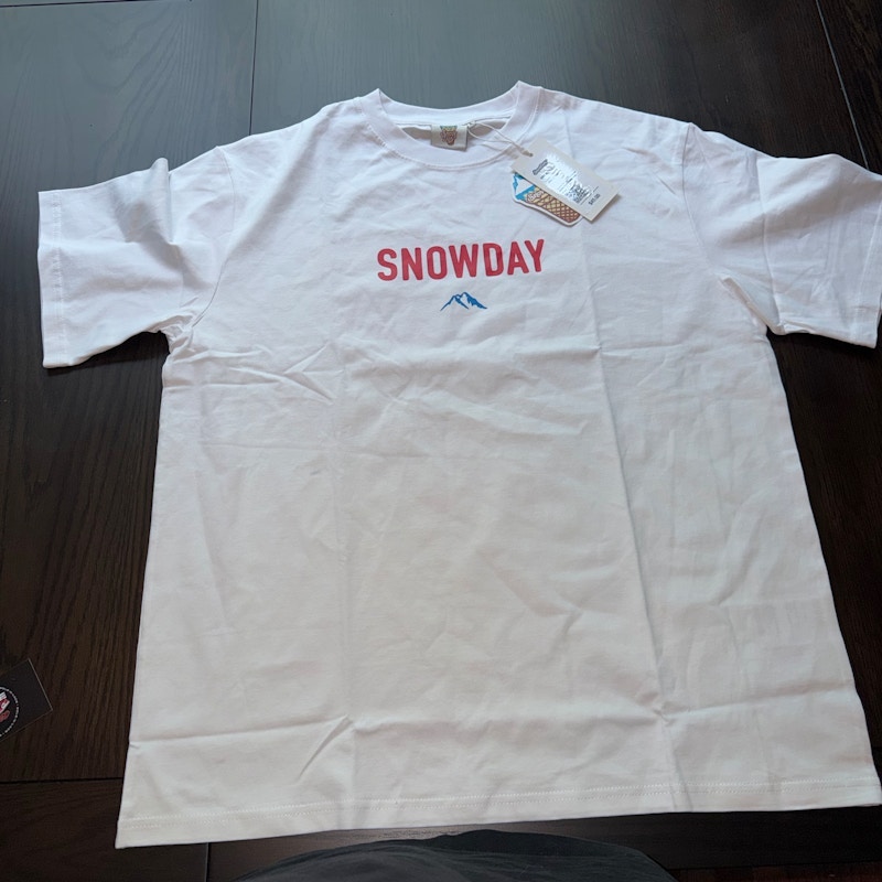 SnowDay 100 Days Until Snow Days T-Shirt White