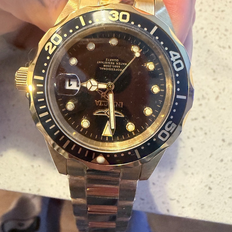 Invicta Pro Diver 17051 Automatic