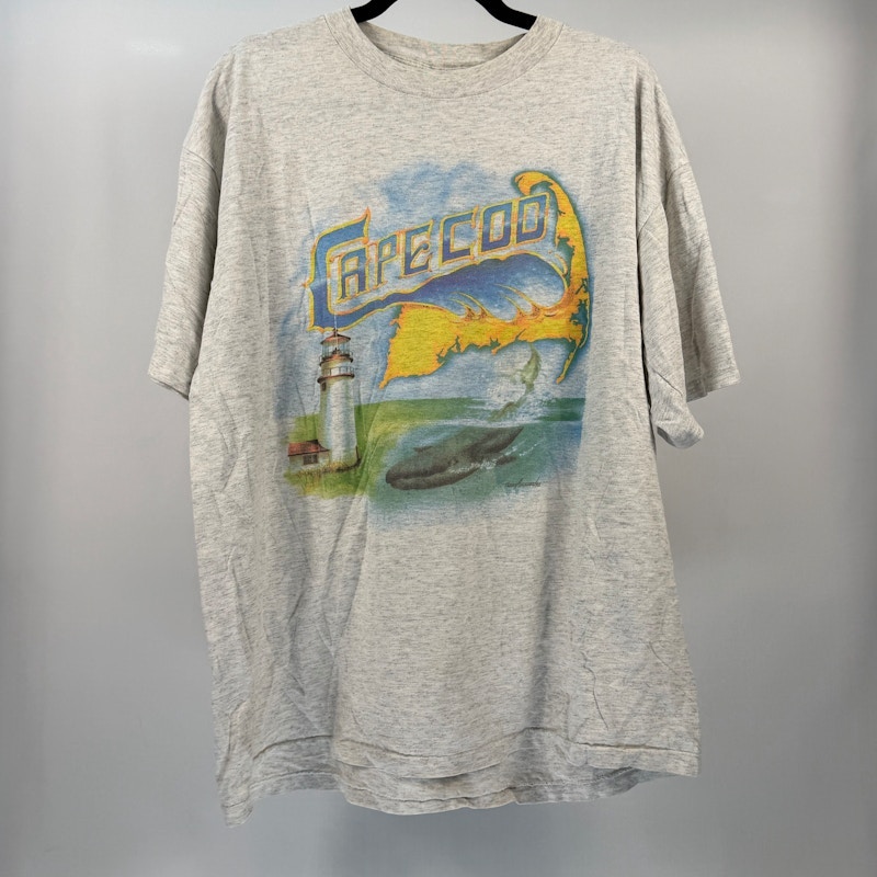Cape Cod Lighthouse and Whale Graphic T-Shirt Gray