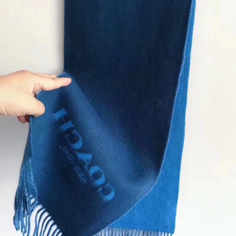 Coach Horse And Carriage Scarf Blue