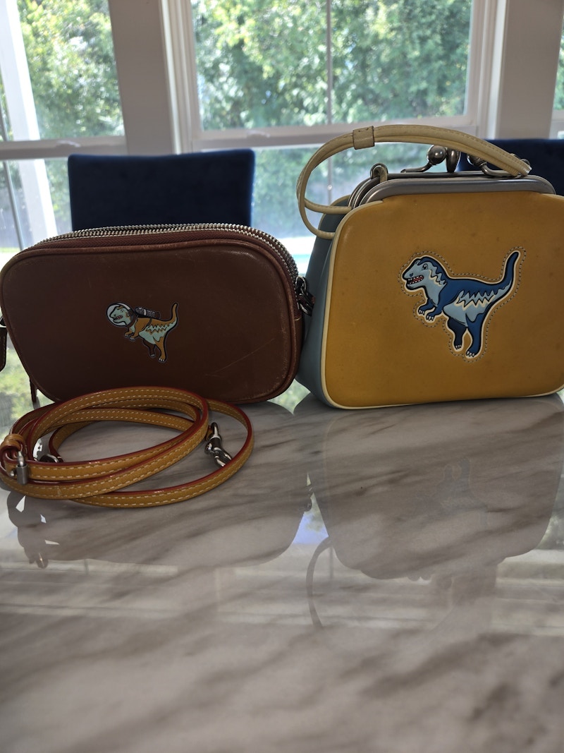 Coach Dinosaur Rexy Crossbody Bags Purses