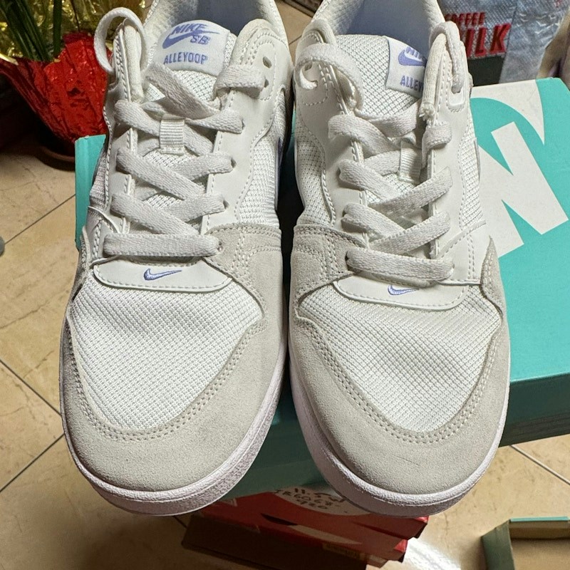 Nike SB Alleyoop White Purple