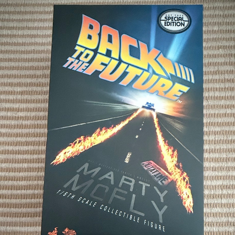 Hot Toys Back to the Future Marty McFly 1/6 Scale Collectible Figure