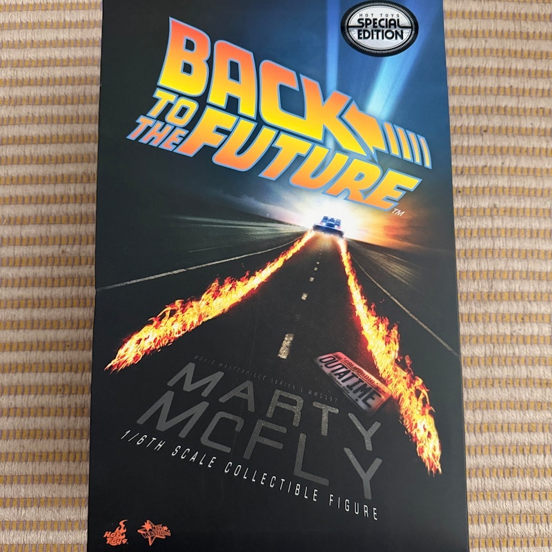 Hot Toys Back to the Future Marty McFly Special Edition 1/6 Scale Collectible Figure