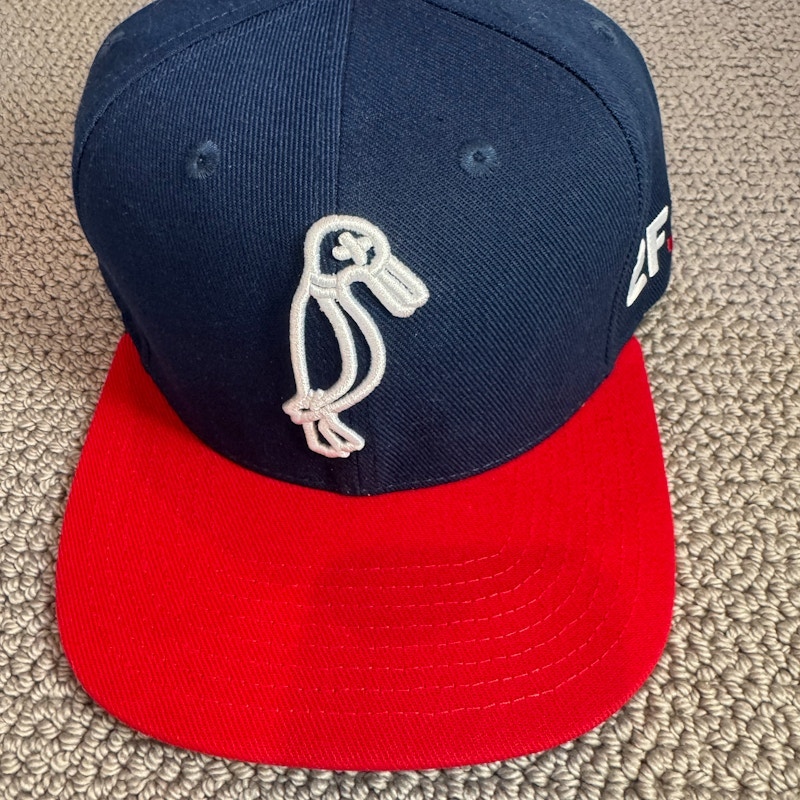 2F.7 hat