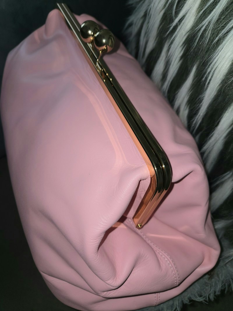 Jesalin Pink Kisslock Handbag