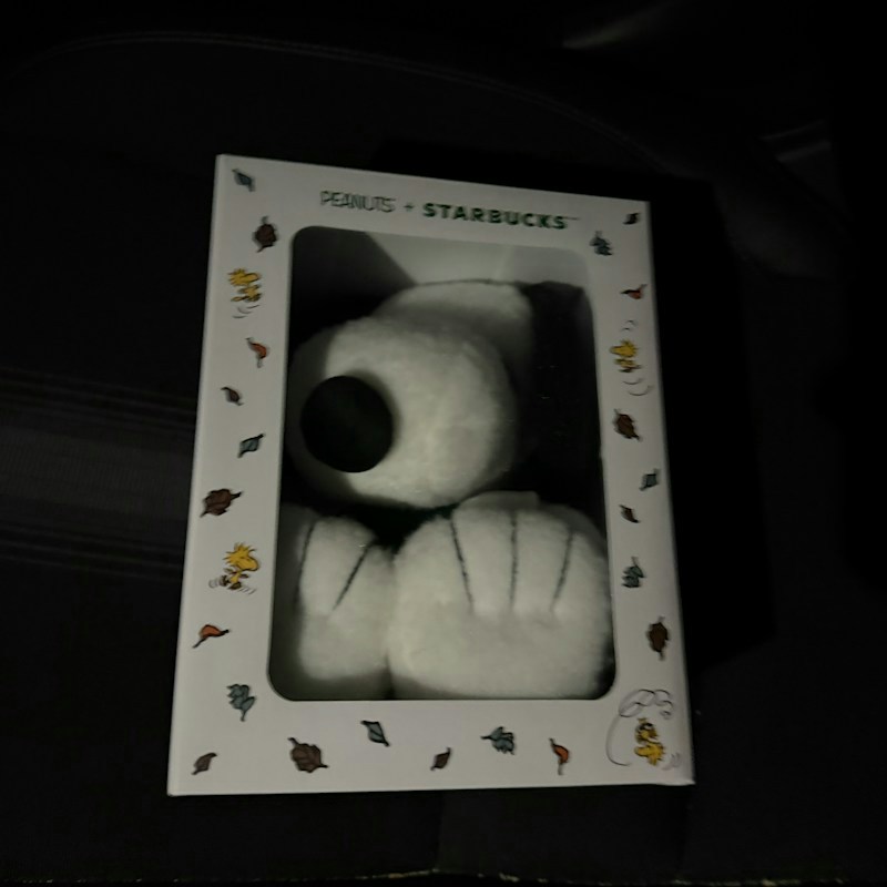 Starbucks Peanuts Snoopy Plush
