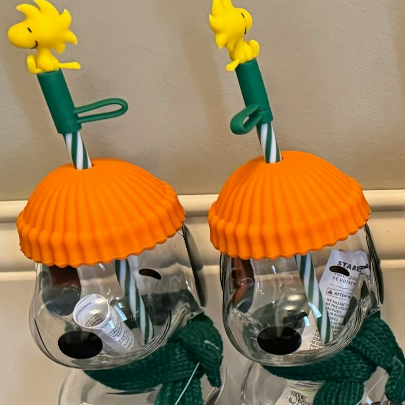 Starbucks Snoopy Pumpkin Glass Cup