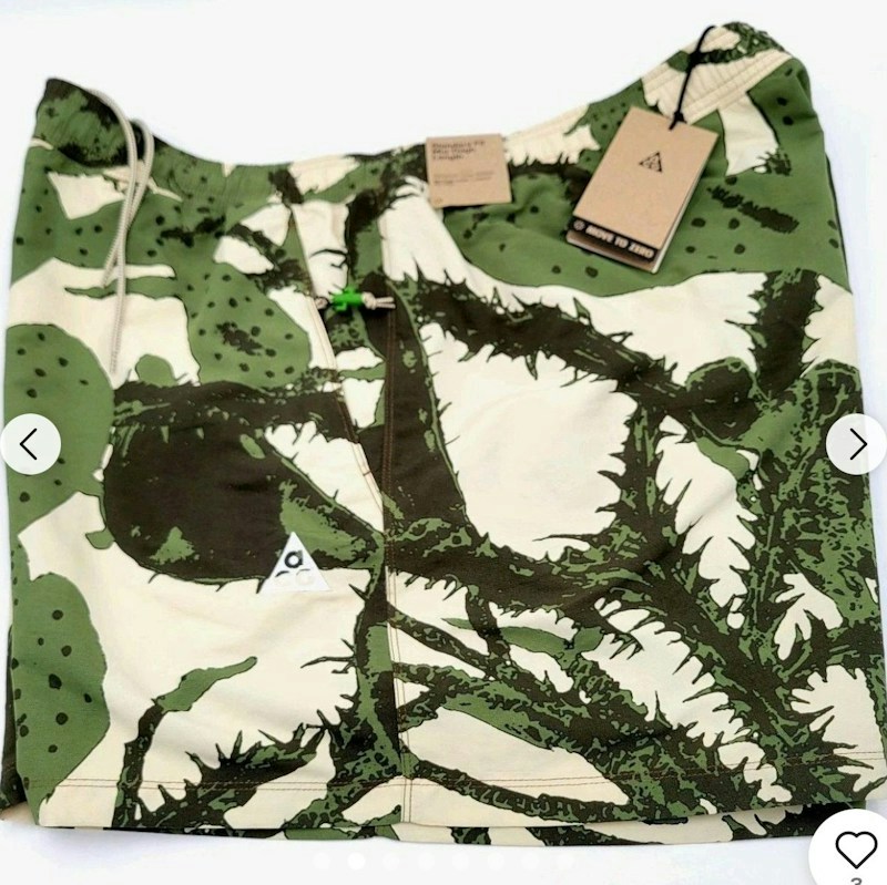Nike ACG Reservoir Goat shorts cactus print