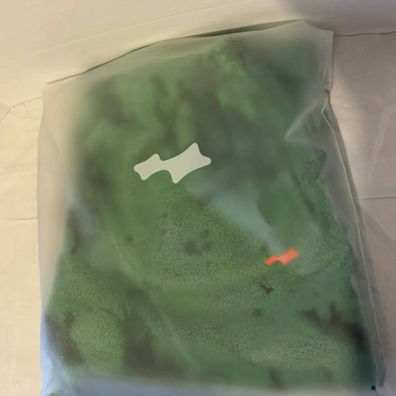 Skylrk Reverse Sweats Mint Space Dye