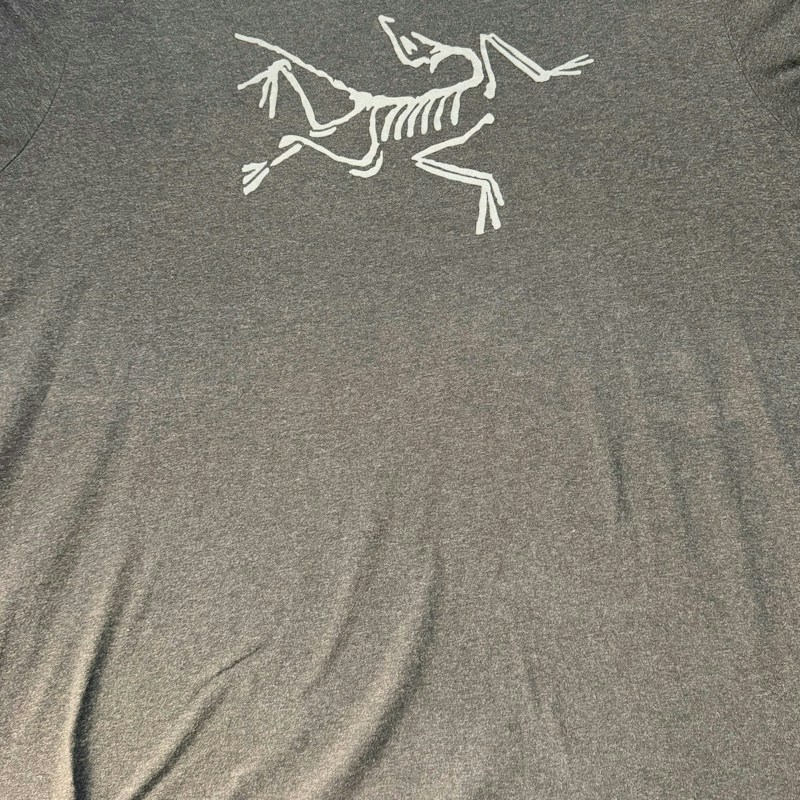 Arc'teryx Logo T-Shirt Grey