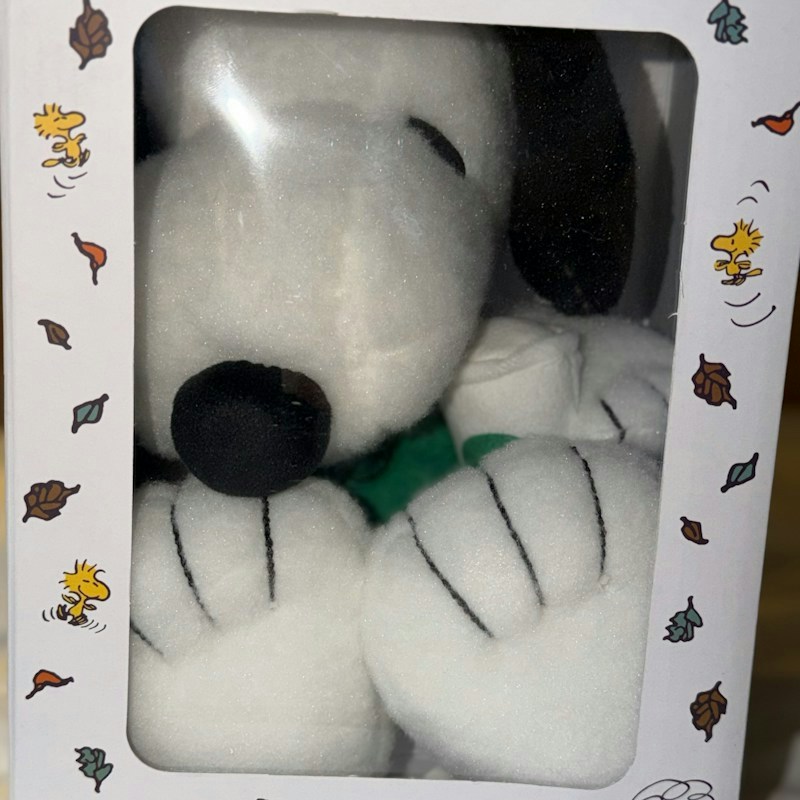Peanuts + Starbucks Snoopy Plush