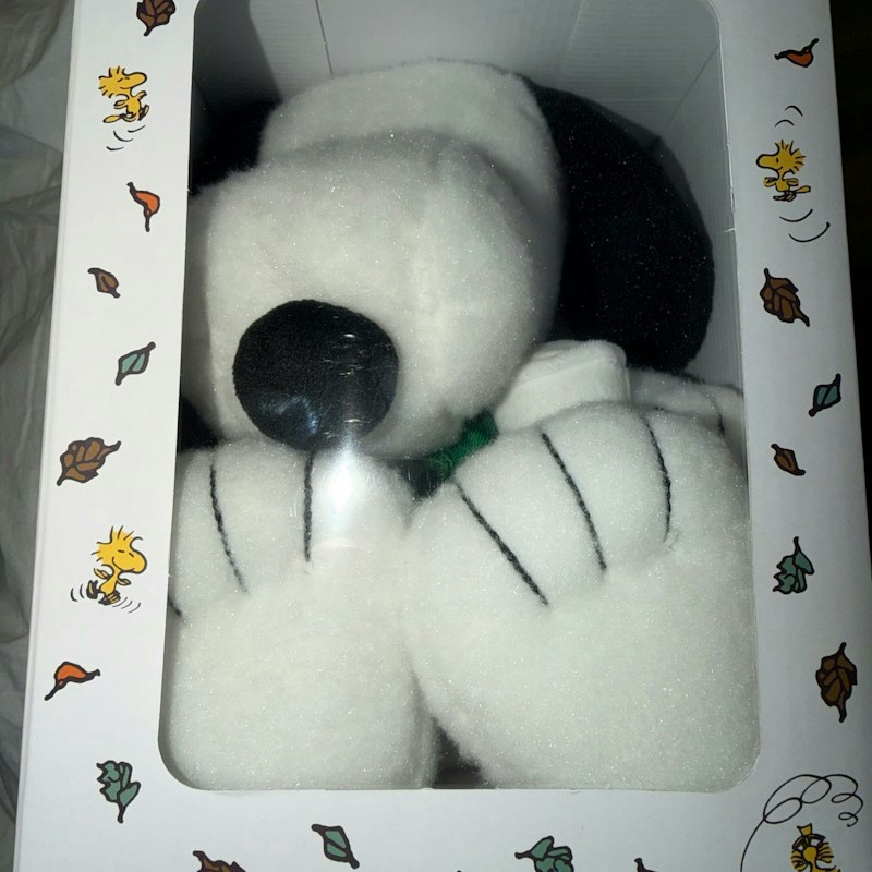 Starbucks x Peanuts Plush Snoopy