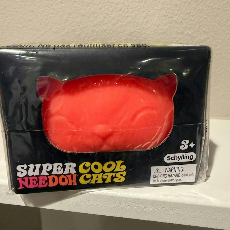Schylling Super NeeDoh Cool Cats Orange