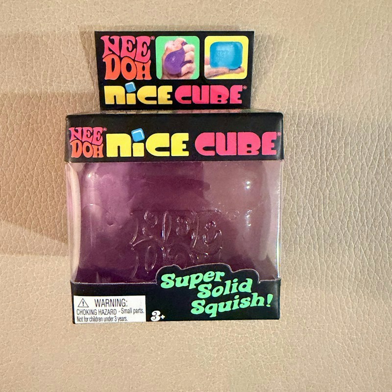 Schylling NeeDoh Nice Cube Purple