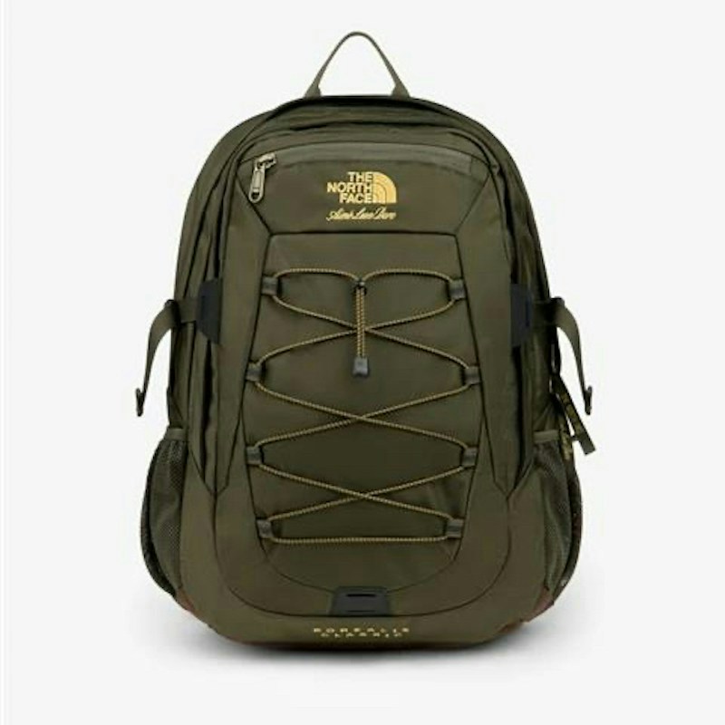 Aimé Leon Dore The North Face Borealis Taupe Green