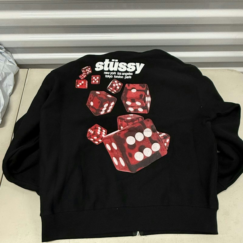 Stussy Roller Zip Hoodie Black